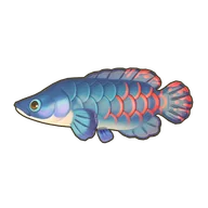 Arapaima