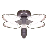 Banded Skimmer