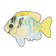 Barred Spinefoot