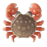 Pea Pebble Crab
