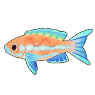 Blue Neon Cichlid