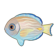 Blue Tang