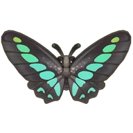 Common Bluebottle