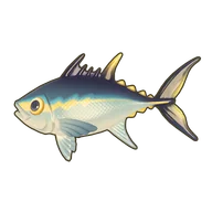 Bluefin Tuna