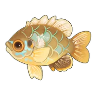 Bluegill