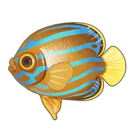 Bluelined Angelfish