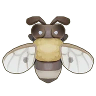 Cape Honey Bee