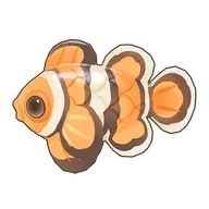 Clownfish