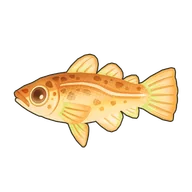 Cod