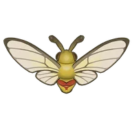 Coffee Clearwing Moth