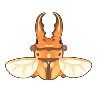 Common Red Stag Beetle