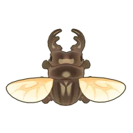 Dark Stag Beetle