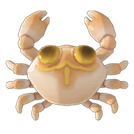 Deep-Sea Coral Crab