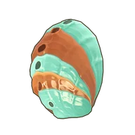 Disk Abalone