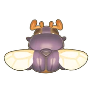Dung Beetle