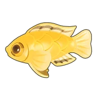 Electric Yellow Cichlid
