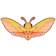 Elephant Hawk Moth