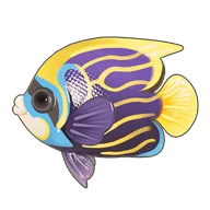 Emperor Angelfish