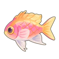 Fairy Basslet