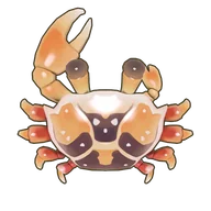 Fiddler Crab