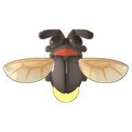 Firefly