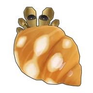 Flat-Clawed Hermit Crab