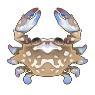 Flower Crab