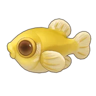 Golden Puffer
