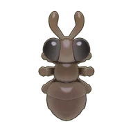 Harvester Ant