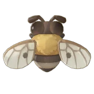 Honey Bee