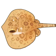 Leopard Whipray