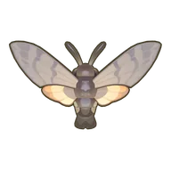 Hummingbird Hawkmoth