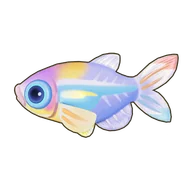 Hummingbird Tetra