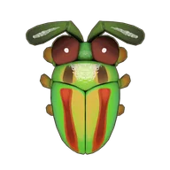 Jewel Beetle