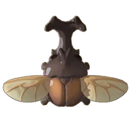 Kabuto Beetle
