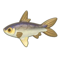 Milkfish