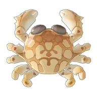Moon Crab