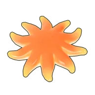 Morning Sun Star