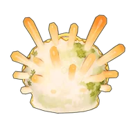 Multicolored Spiny Oyster