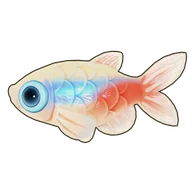 Neon Tetra