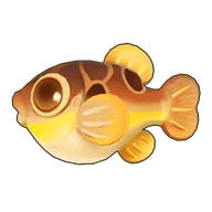 Obscure Pufferfish