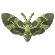 Oleander Hawk Moth