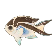 Ornate Angelfish