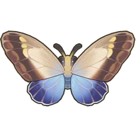 Owl Butterfly