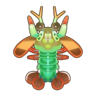 Peacock Mantis Shrimp