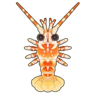 Pink Spiny Lobster