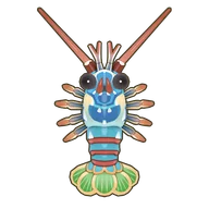 Pronghorn Spiny Lobster