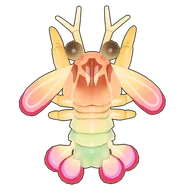 Rainbow Mantis Shrimp