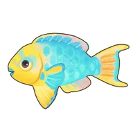 Rainbow Parrotfish