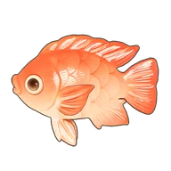 Red Tilapia